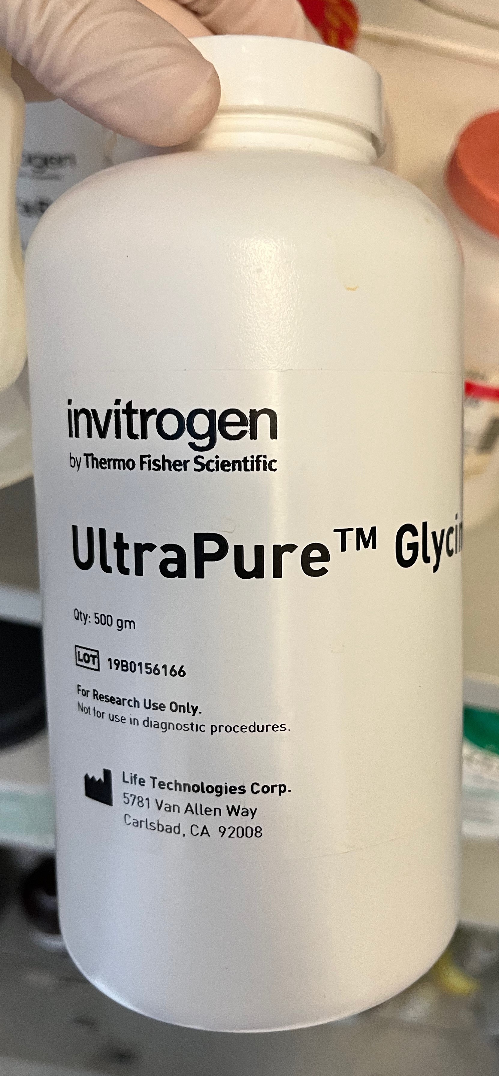 Invitrogen UltraPure Glycine